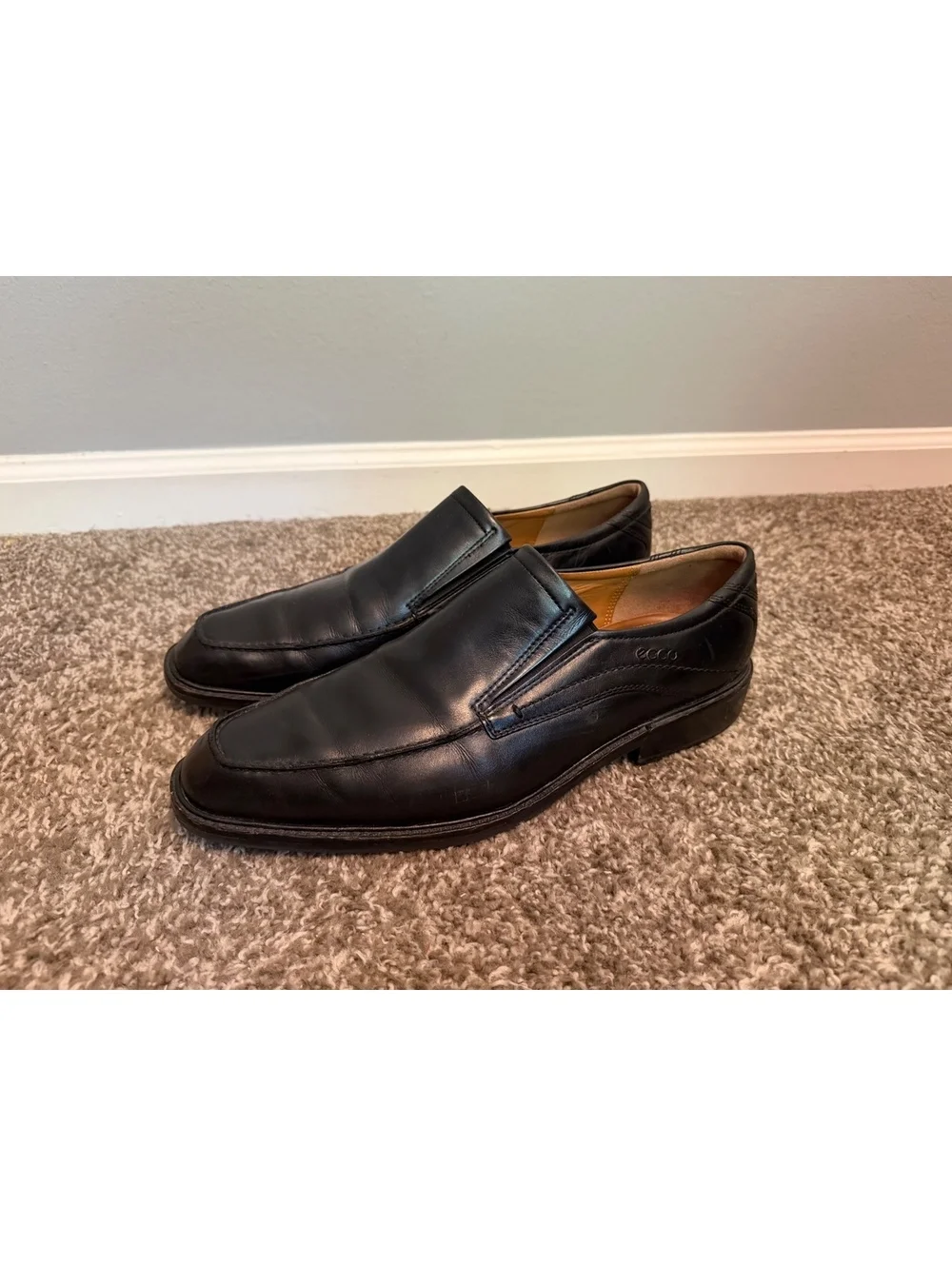 Ecco 12 converts